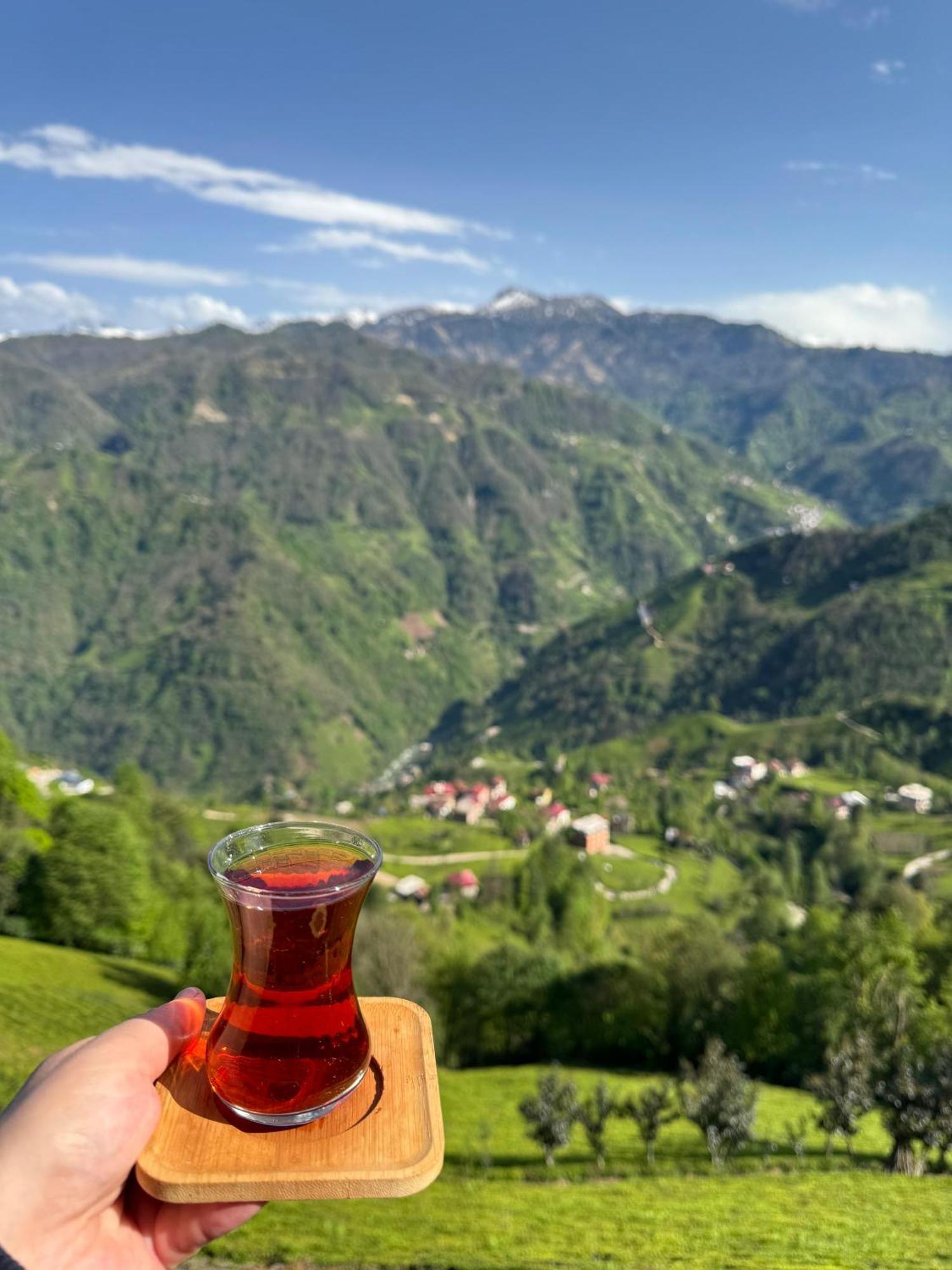 Pera Bungalov Ardeşen 外观 照片