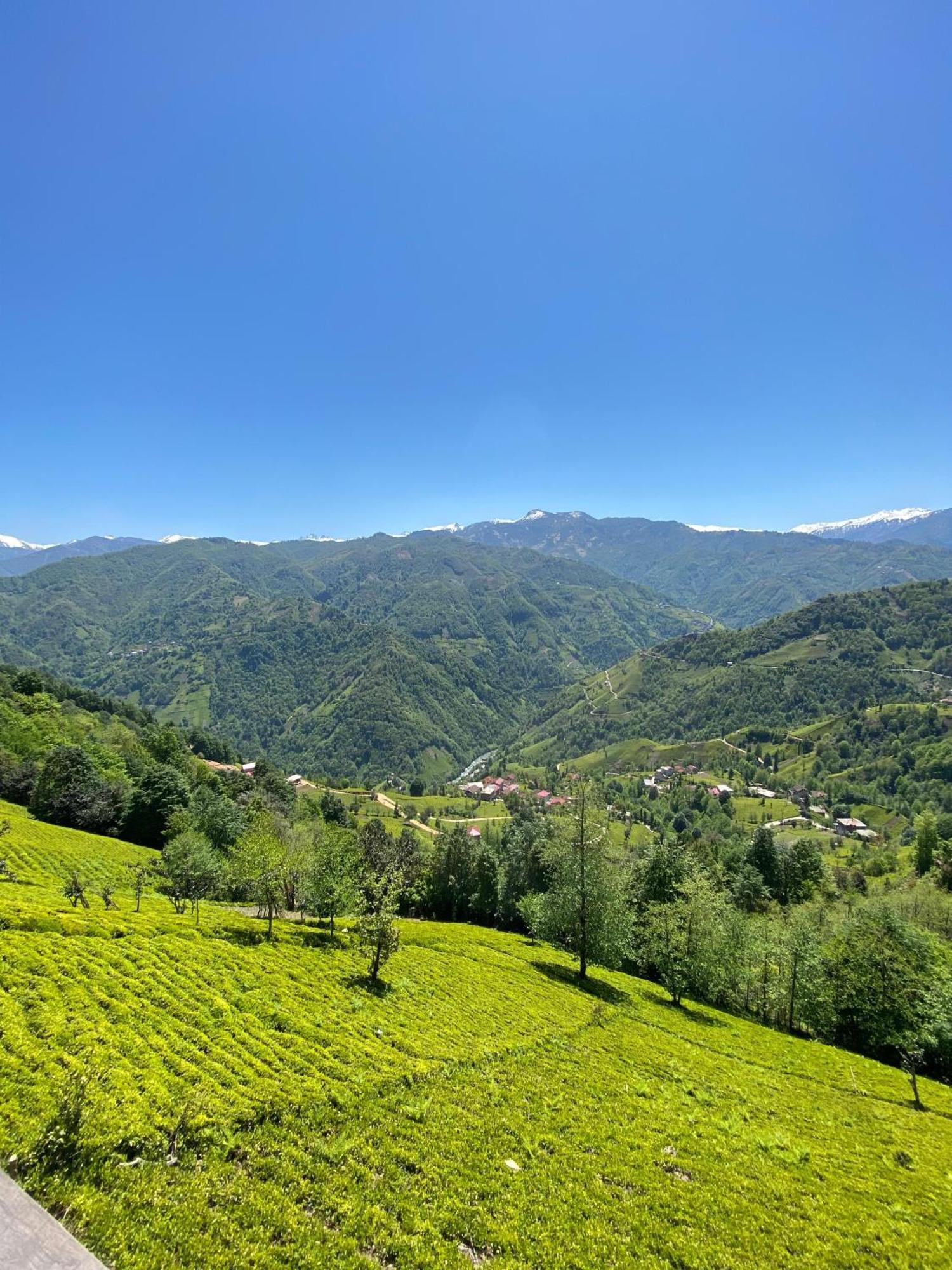 Pera Bungalov Ardeşen 外观 照片
